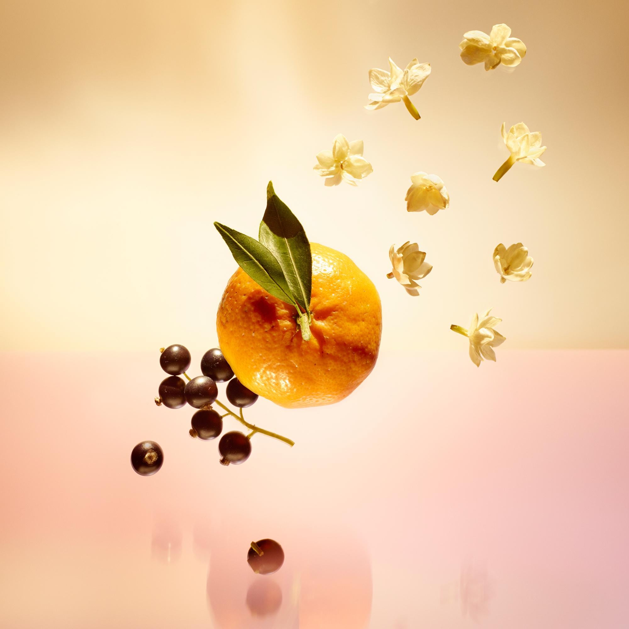 Le Jour Se Lève | Fragrances | LOUIS VUITTON